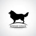 Rough Collie Dog - Vector Illustration