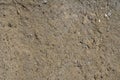 Rough concrete texture Royalty Free Stock Photo