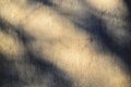 Rough concrete wall with tree branch shadows and sunlight pattern Royalty Free Stock Photo