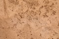 Rough crumbling texture of mud wall Royalty Free Stock Photo