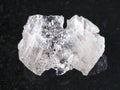 rough crystal of Danburite gemstone on dark