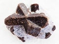 rough crystal of Staurolite in mica shale on white