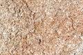 Rough detail of sand stone texture and background. Royalty Free Stock Photo