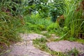 Rough different shapes of natural stone path. Royalty Free Stock Photo