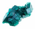 rough Dioptase (copper emerald) crystals on white