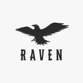 Rough dirt flying crow logo, flying raven logo vector illustration