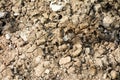 Rough dry soil texture background Royalty Free Stock Photo