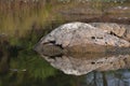 Rough-edged rocks rest at the edge of a calm body of water, casting a clear reflection. Royalty Free Stock Photo