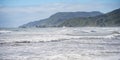 Rough exotic coastal landscape with big waves and rainforest vegetation on a sunny day, New Zealand