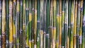 Rough fence bamboo