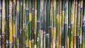 Rough fence bamboo Royalty Free Stock Photo