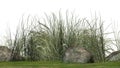 Rough Grass between Granite stones on a green erea Royalty Free Stock Photo