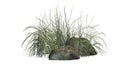 Rough Grass between Granite stones Royalty Free Stock Photo