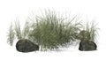Rough Grass between Granite stones Royalty Free Stock Photo