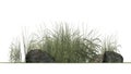 Rough Grass between Granite stones Royalty Free Stock Photo