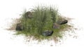 Rough Grass between Granite stones on a sand erea Royalty Free Stock Photo