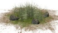 Rough Grass between Granite stones on a sand erea Royalty Free Stock Photo