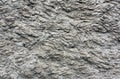 Rough gray plaster wall texture. Royalty Free Stock Photo