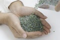 Rough green Peridot gemstone in hand on white background