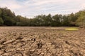 Rough ground surface, texture with desiccation cracks