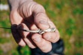 The rough hand of a man holds a lizard cub with its belly up.