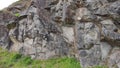 Rough, jagged granite cliff face with grass at the bottom