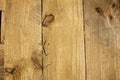 Rough knotty wood plank backdrop