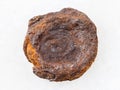 rough lake iron ore coin type (limonite) on white