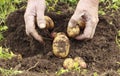 Rough male hands working, closeup, farmland