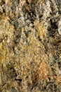 Rough Mineral Surface