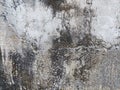 rough and mossy old cement wall surface Royalty Free Stock Photo