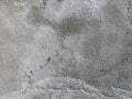 rough and mossy old cement wall surface Royalty Free Stock Photo