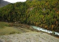 Rough mountain river flowing through a narrow canyon surrounded by high mountains and coniferous forest Royalty Free Stock Photo