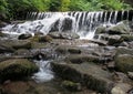 Rough mountain river in the Ukrainian Carpathians Royalty Free Stock Photo