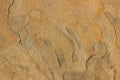 Yellow Sandstone Natural Face Surface Royalty Free Stock Photo