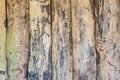 Rough old hardwood planks