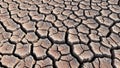 Rough and parched indicative of prolonged exposure to arid condition Royalty Free Stock Photo