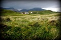 Rough pasture on Scottish island