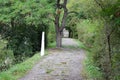 rough path at the Lorelei statue Royalty Free Stock Photo
