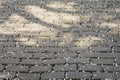 Rough pavement tile, gentle covered with fallen petals of cherry blossoms, covered by petals of sakura tree. Sunny day Royalty Free Stock Photo