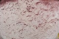 Rough Plaster Gypsum Texture Structure Royalty Free Stock Photo