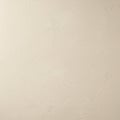 Rough plaster wall texture with a light beige color. Subtle irregular patterns and organi Royalty Free Stock Photo