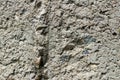 Rough porous concrete surface close up macro shot