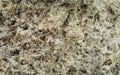 Rough raw tufa stone surface texture