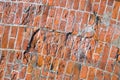 Rough red brickwall Royalty Free Stock Photo