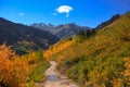 Rough road to Ophir pass in Colorado Royalty Free Stock Photo