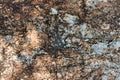 Rough rock background texture