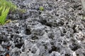 Rough rock surface on the coast of Tanjung Bira Royalty Free Stock Photo