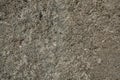 Rough rock surface texture gray stone Royalty Free Stock Photo