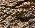 Rough rock texture background Royalty Free Stock Photo